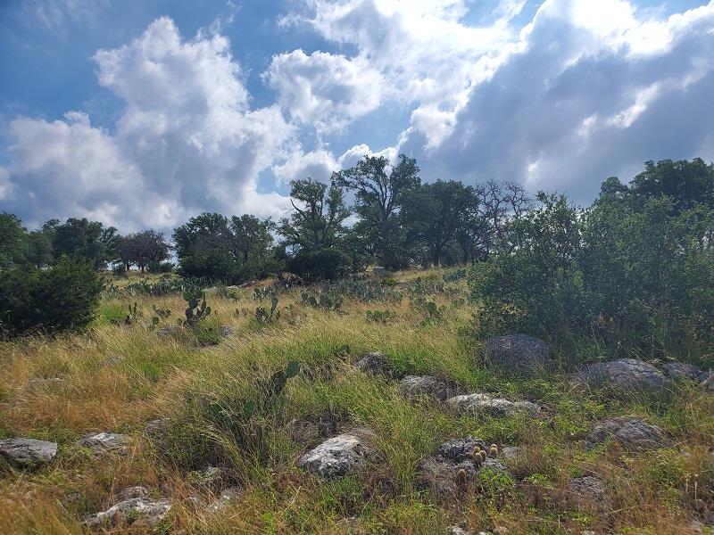 98 Axis Circle, Unit 98 Fredericksburg, TX 78624 - Photo 7 of 33 a view of a lake
