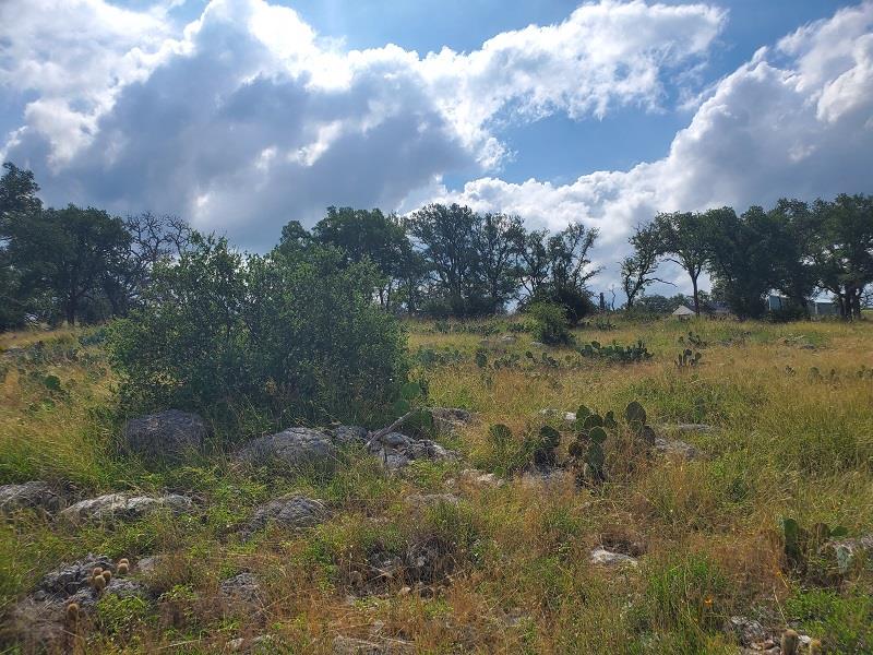 98 Axis Circle, Unit 98 Fredericksburg, TX 78624 - Photo 8 of 33 a view of swimming pool and mountain in back