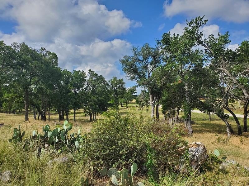 98 Axis Circle, Unit 98 Fredericksburg, TX 78624 - Photo 9 of 33 a view of yard with green space