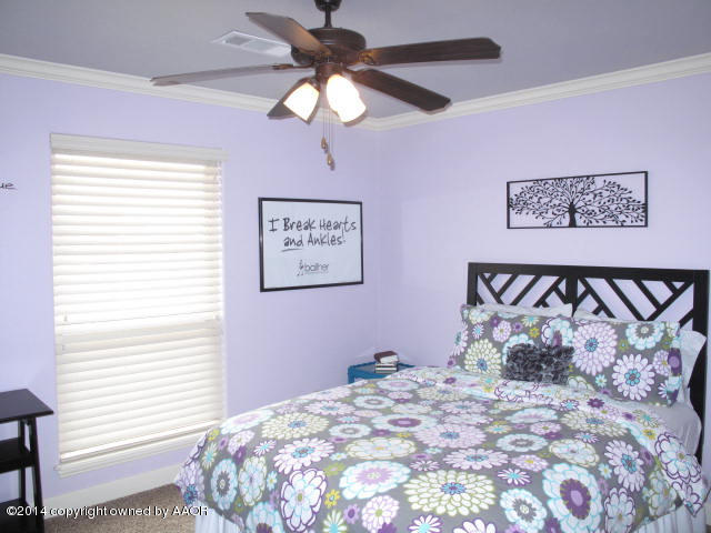 16300 Hope Road Canyon, TX 79015 - Photo 4 of 26 16300 Hope 005