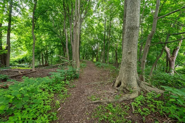 $200,000 | 63 Adams Street, Danvers, MA 01923