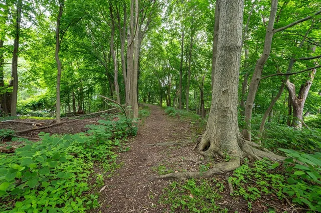 a big yard with lots of green space and trees