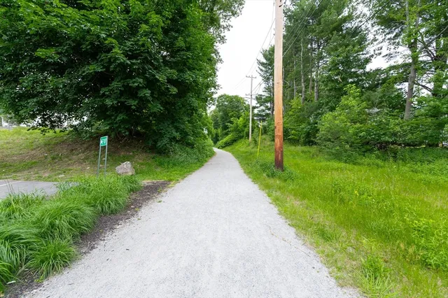 a view of a garden with a fountain