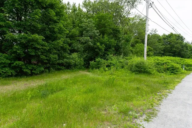 a view of a lush green space