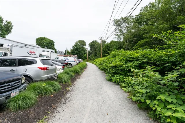 a view of a forest that has large trees