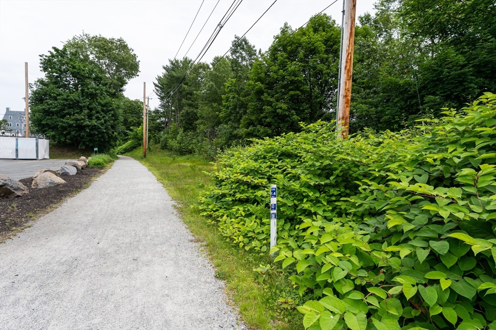 63 Adams Street Danvers, MA 01923 - Photo 20 of 42 a view of a garden with plants