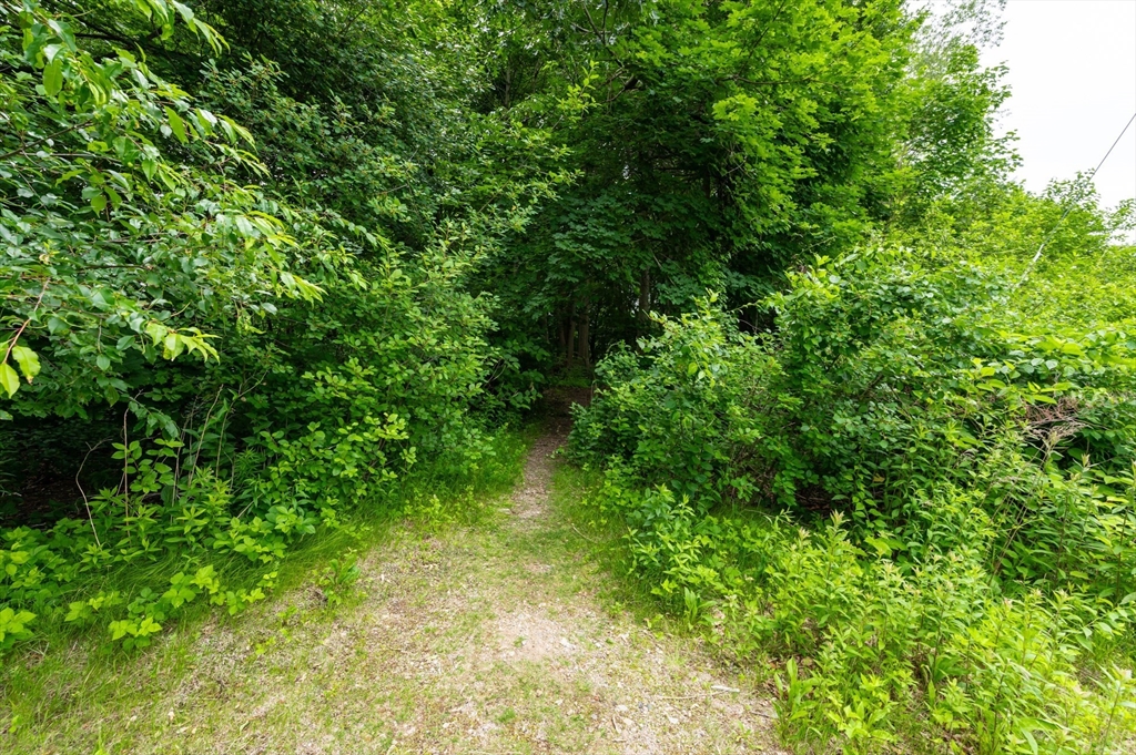 63 Adams Street Danvers, MA 01923 - Photo 21 of 42 a view of a garden