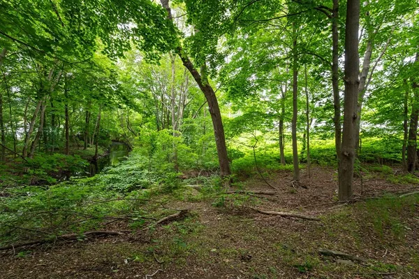 $200,000 | 63 Adams Street, Danvers, MA 01923