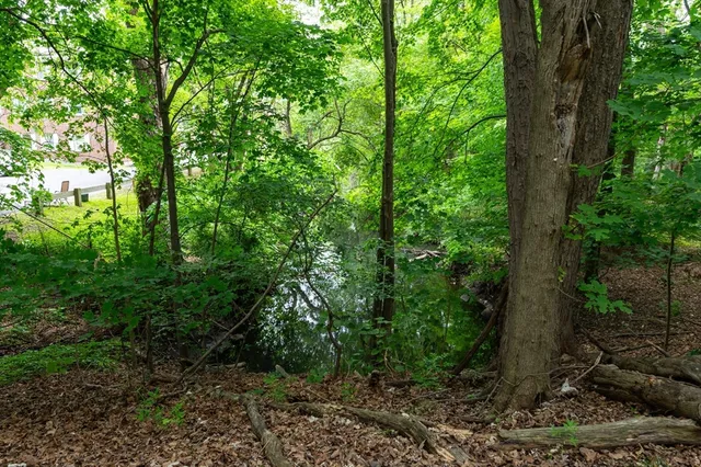 a view of a yard with plants and trees