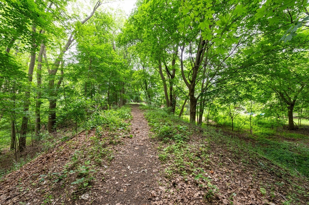 63 Adams Street Danvers, MA 01923 - Photo 24 of 42 a big yard with lots of green space and deers