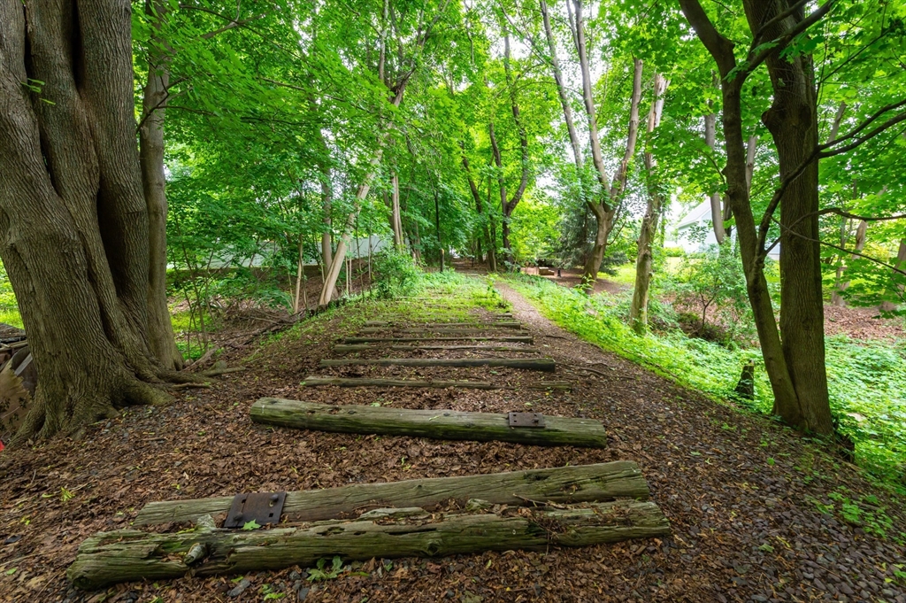 63 Adams Street Danvers, MA 01923 - Photo 25 of 42 a view of a yard