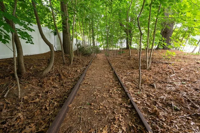a view of a yard with plants