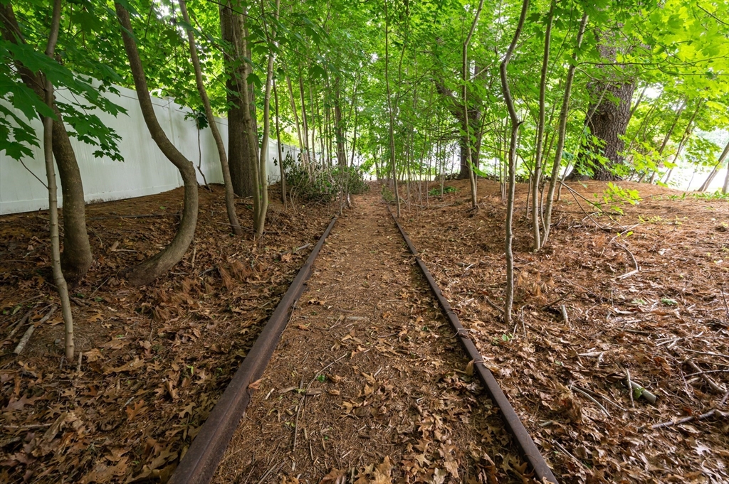 63 Adams Street Danvers, MA 01923 - Photo 26 of 42 a view of a yard with plants and trees