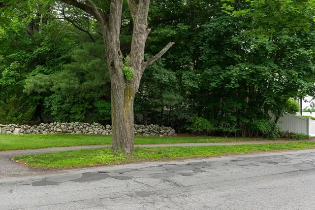 a view of a tennis ground with large trees