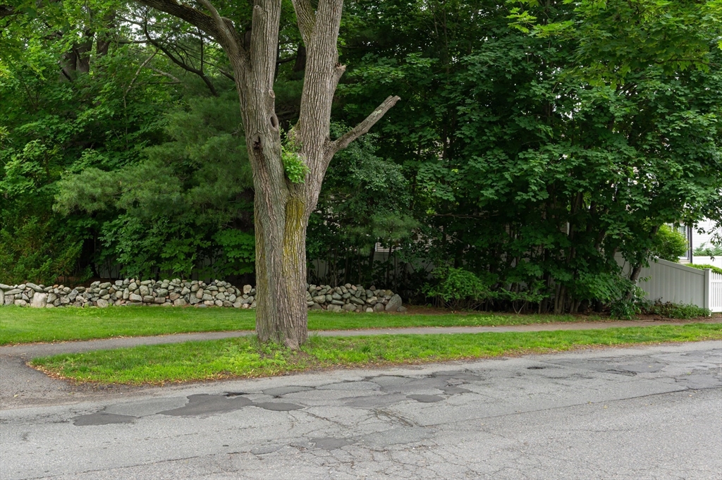 63 Adams Street Danvers, MA 01923 - Photo 3 of 42 a view of a tennis ground with large trees