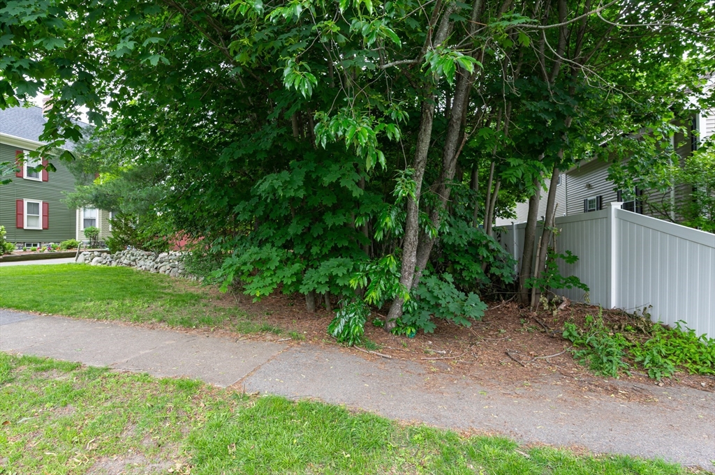 63 Adams Street Danvers, MA 01923 - Photo 5 of 42 a view of a yard with plants and trees