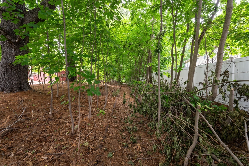 63 Adams Street Danvers, MA 01923 - Photo 6 of 42 a view of yard