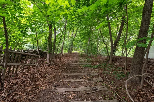 a view of outdoor space and yard