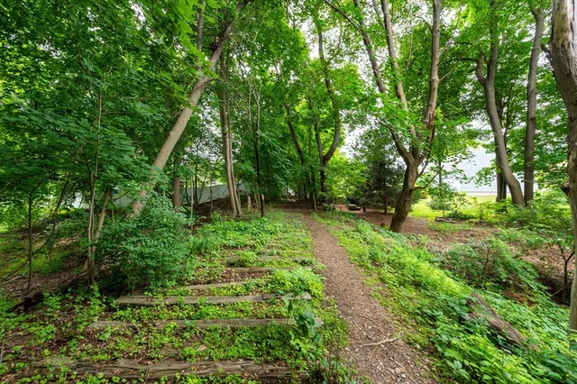 a green field with lots of trees in it