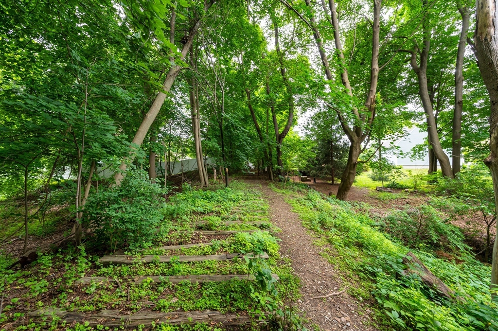 63 Adams Street Danvers, MA 01923 - Photo 9 of 42 a green field with lots of trees in it