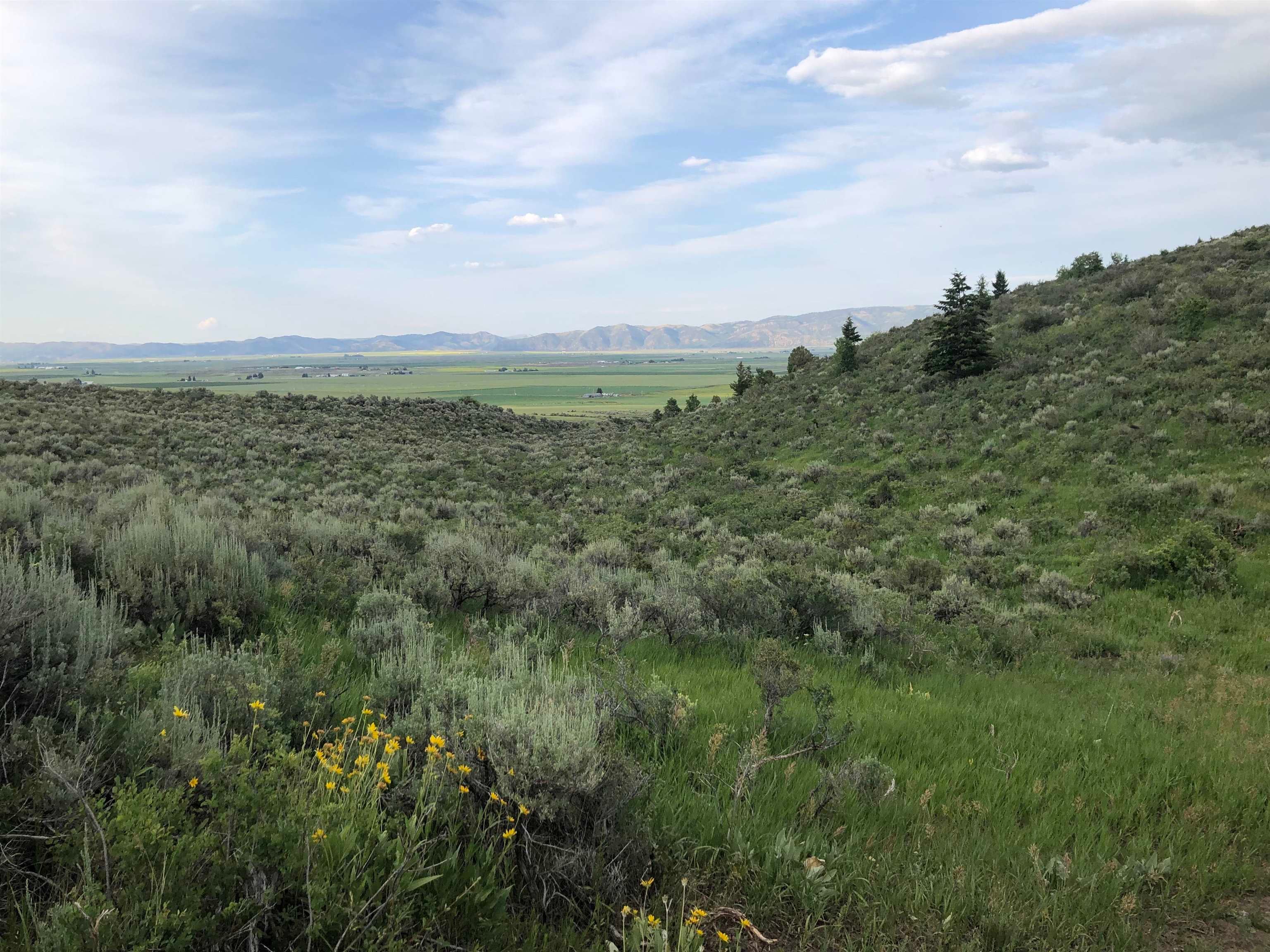 955-943 Hegstrom Road Grace, ID 83241 - Photo 27 of 45 Gallery Image 27