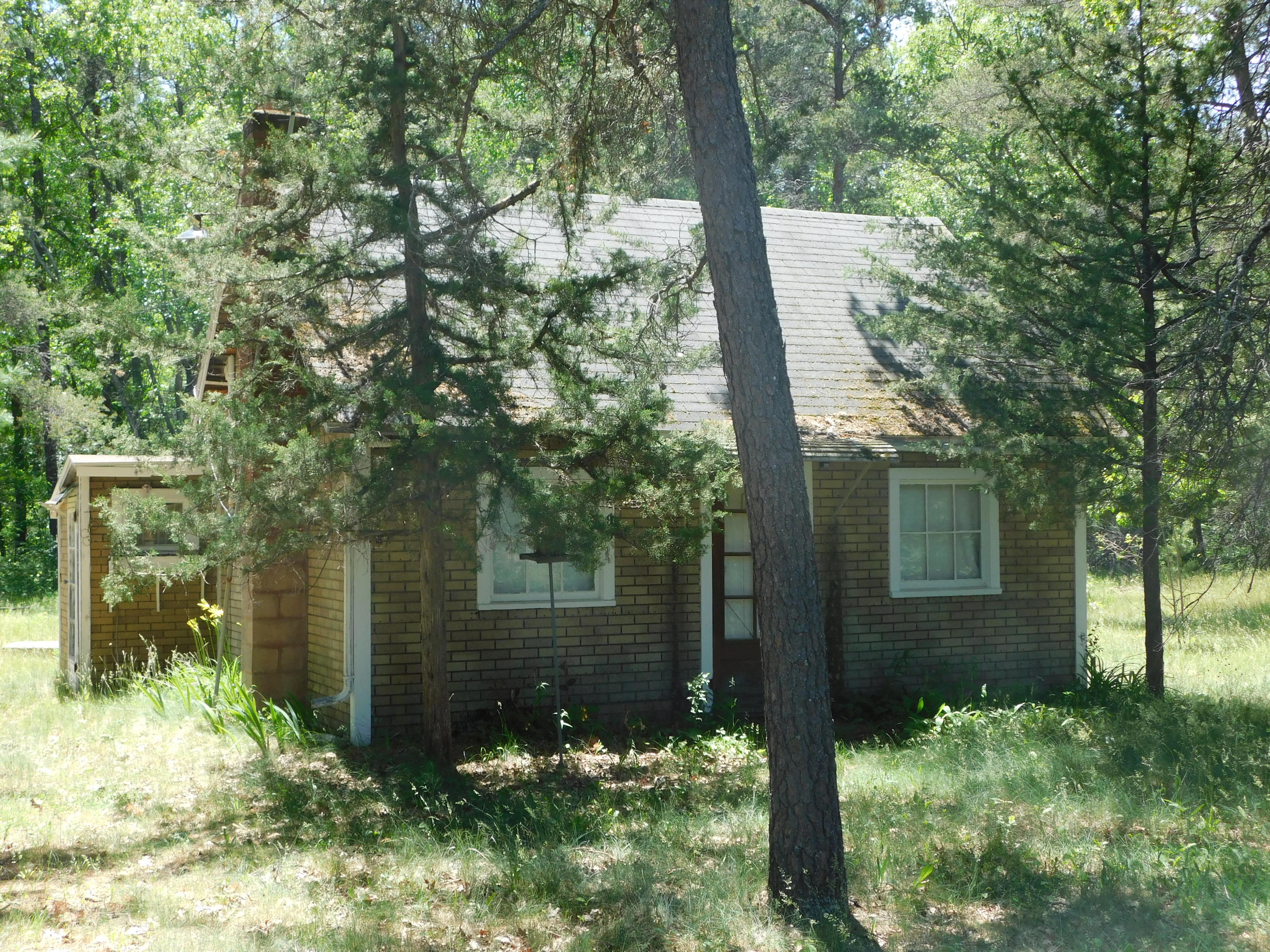 3590 Old State Road Mio, MI 48647 - Photo 1 of 10 Gallery Image 1