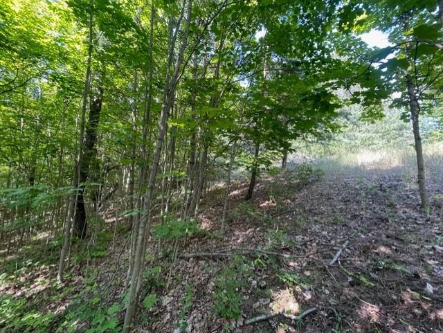 V/l V/l Windy Ridge Beulah, MI 49617 - Photo 14 of 20