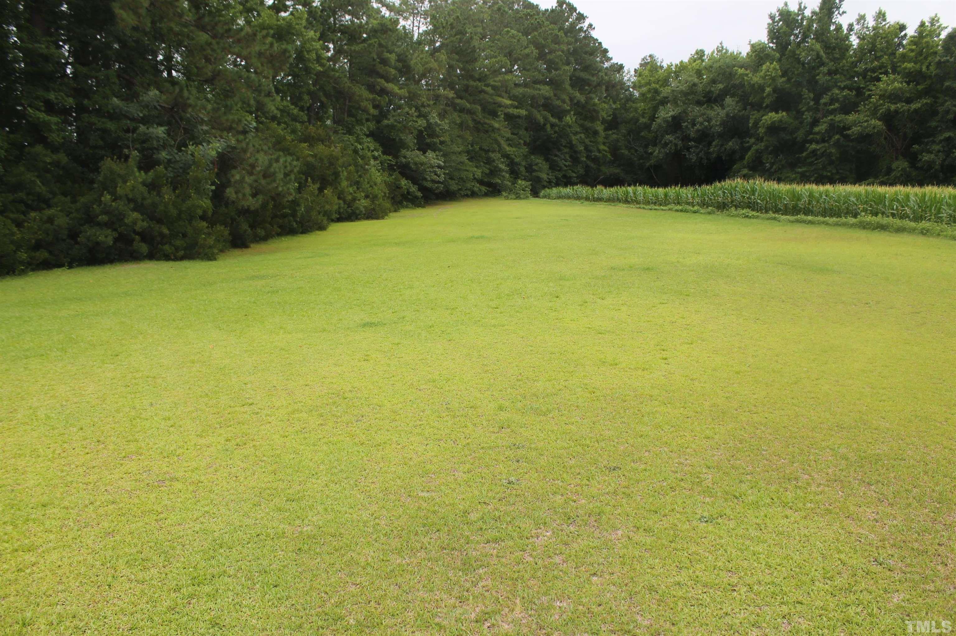 560 Williams Road Grifton, NC 28530 - Photo 3 of 11 Gallery Image 3