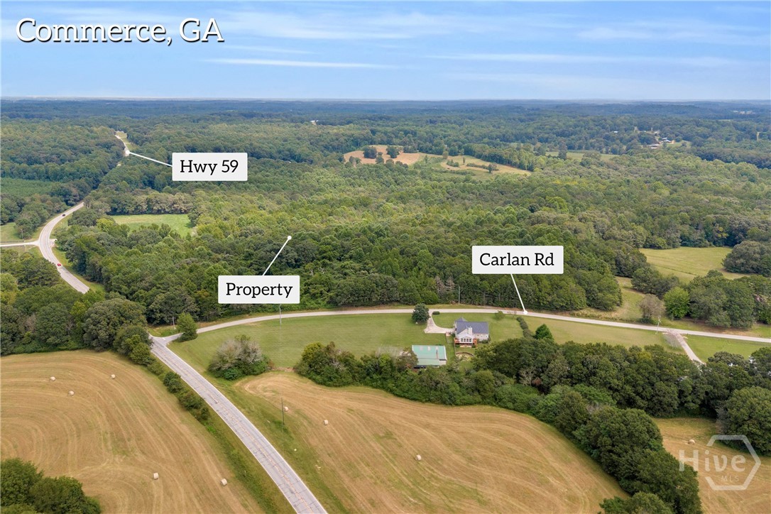0 Carlan Road, Unit TRACT 4 Jasper, GA 30143 - Photo 3 of 16