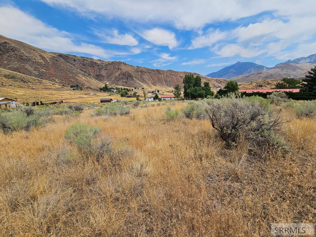 5-7 Pheasant Road Salmon, ID 83467 - Photo 19 of 30