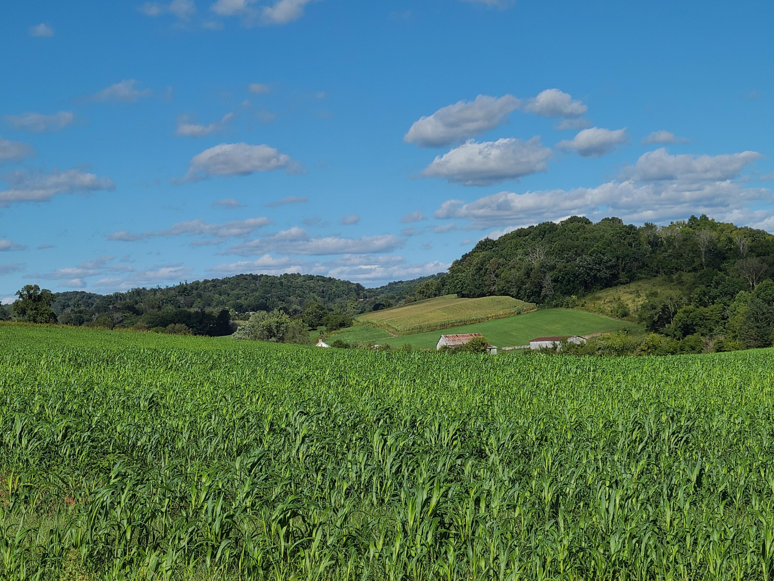 1200 Taylor Bridge Road Jonesborough, TN 37659 - Photo 7 of 11 0BC9BC71-1678-4A56-B510-C072B40FA273