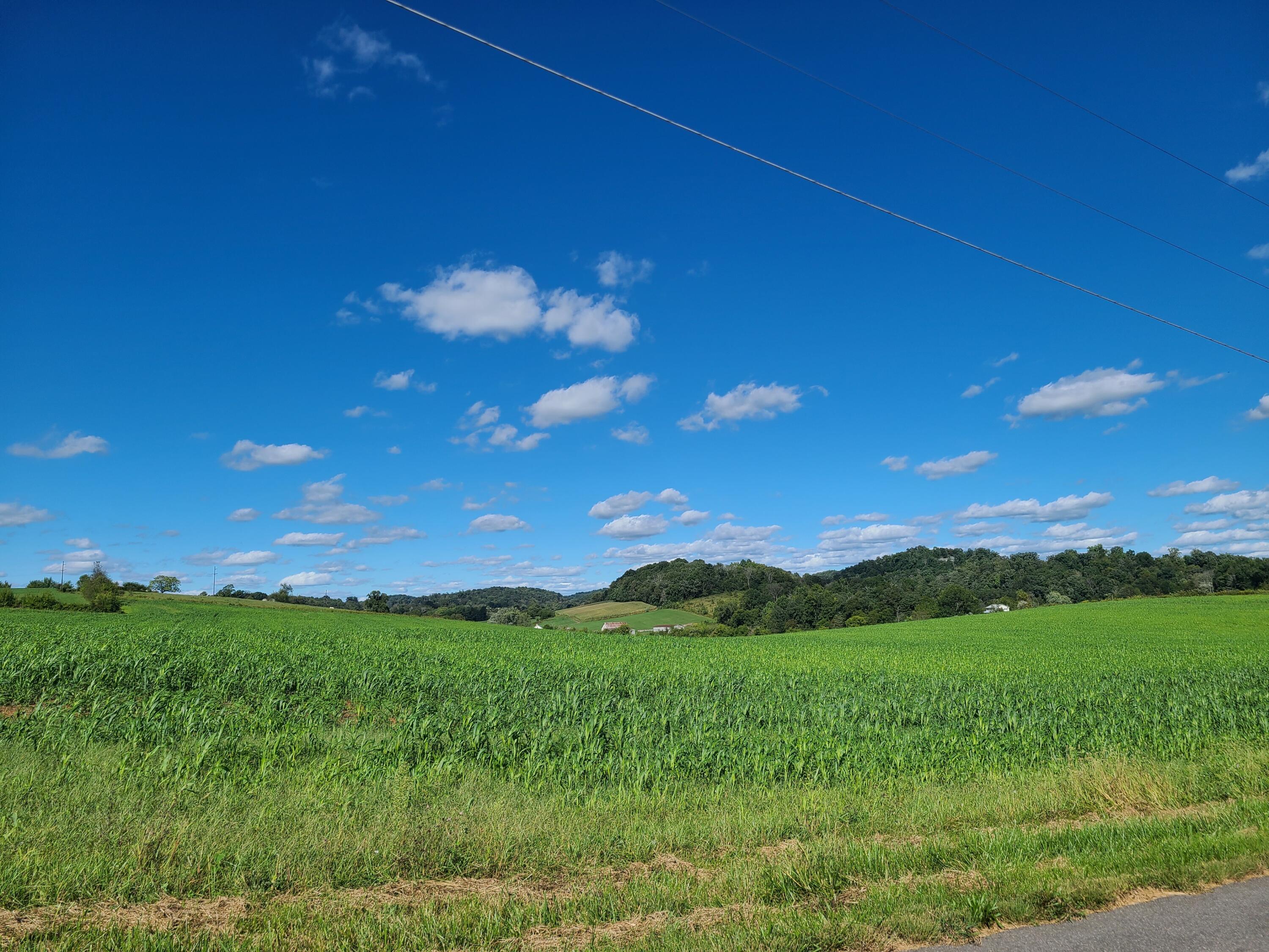 1200 Taylor Bridge Road Jonesborough, TN 37659 - Photo 8 of 11 D3EA3F64-1A9B-47DB-9472-C66258CC5E0C