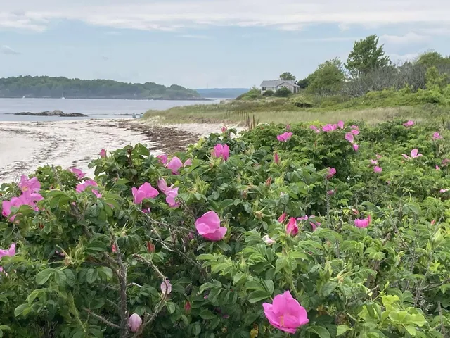 $699,000 | 21 Beach Avenue, Long Island, ME 04050