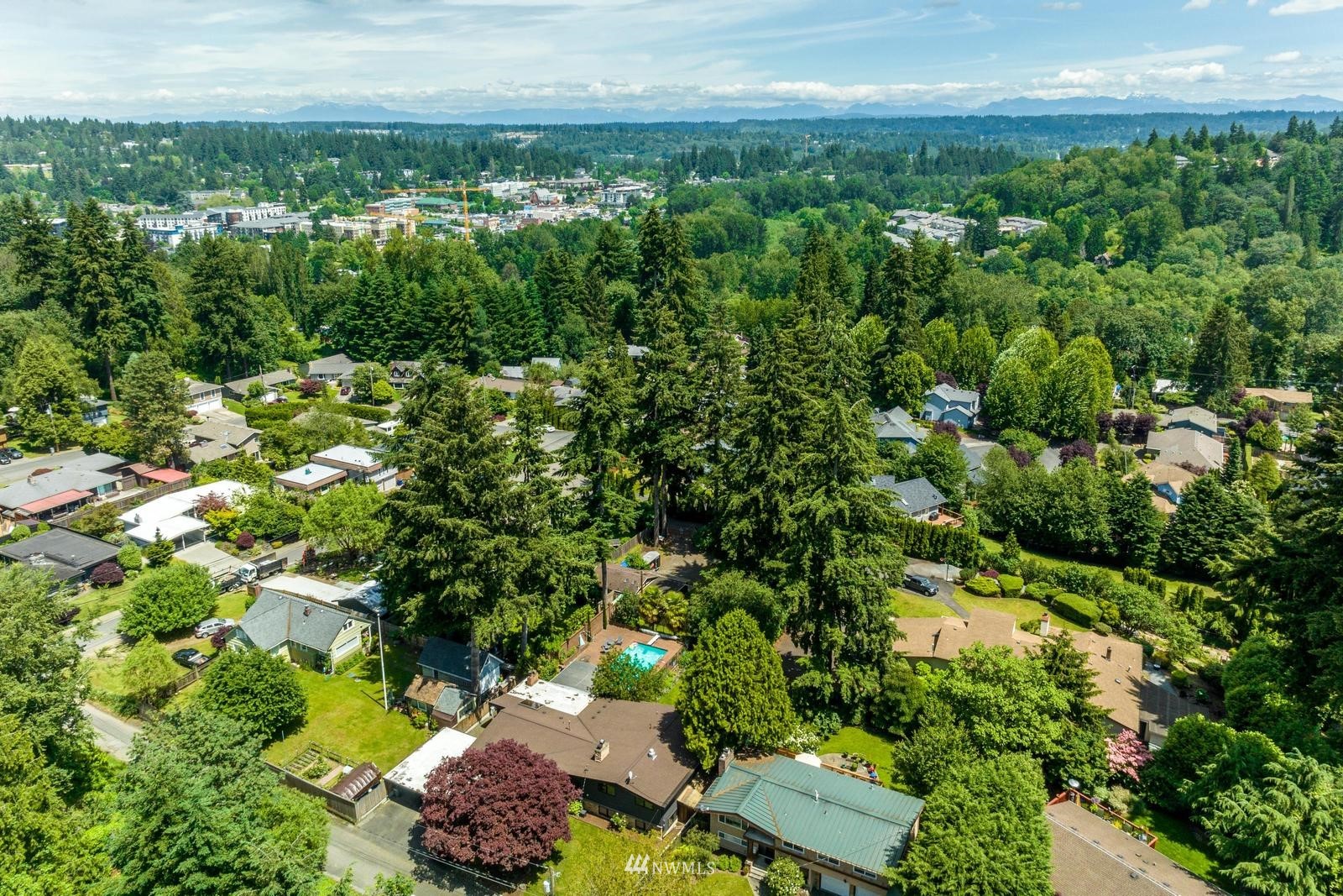9325 Northeast 175th Street Bothell, WA 98011 - Photo 16 of 19 a view of a garden with lawn chairs