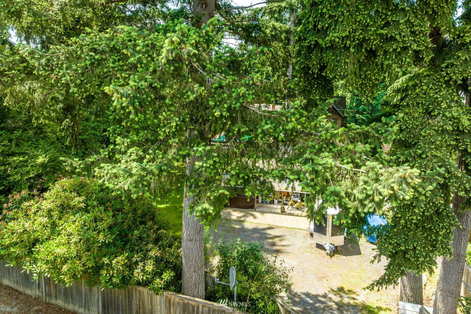 9325 Northeast 175th Street Bothell, WA 98011 - Photo 18 of 19 a view of yard with green space