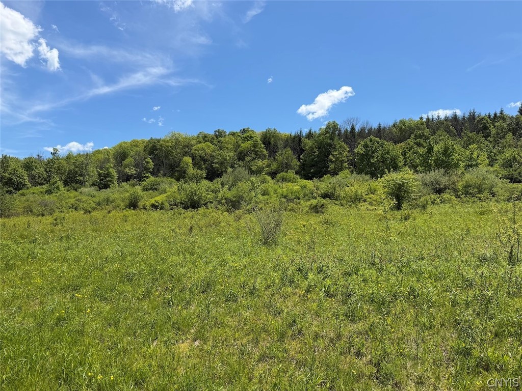 North Branch Road Friendship, NY 14739 - Photo 20 of 27