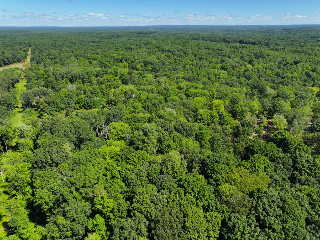 10.45 A Campbell Rd Branch Branch, MI 49402 - Photo 11 of 29 DJI_20250813124428_0893_D