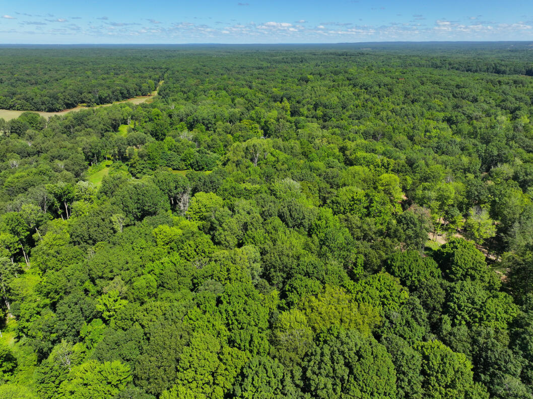 10.45 A Campbell Rd Branch Branch, MI 49402 - Photo 12 of 29 DJI_20250813124431_0894_D