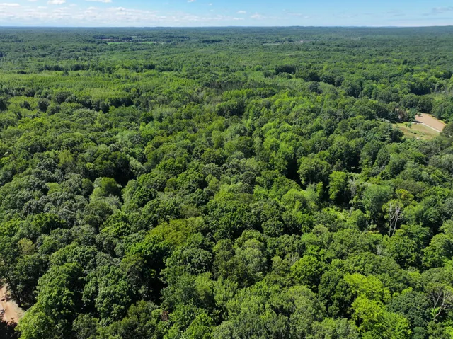 $45,000 | 10.45 A Campbell Rd Branch, Branch, MI 49402