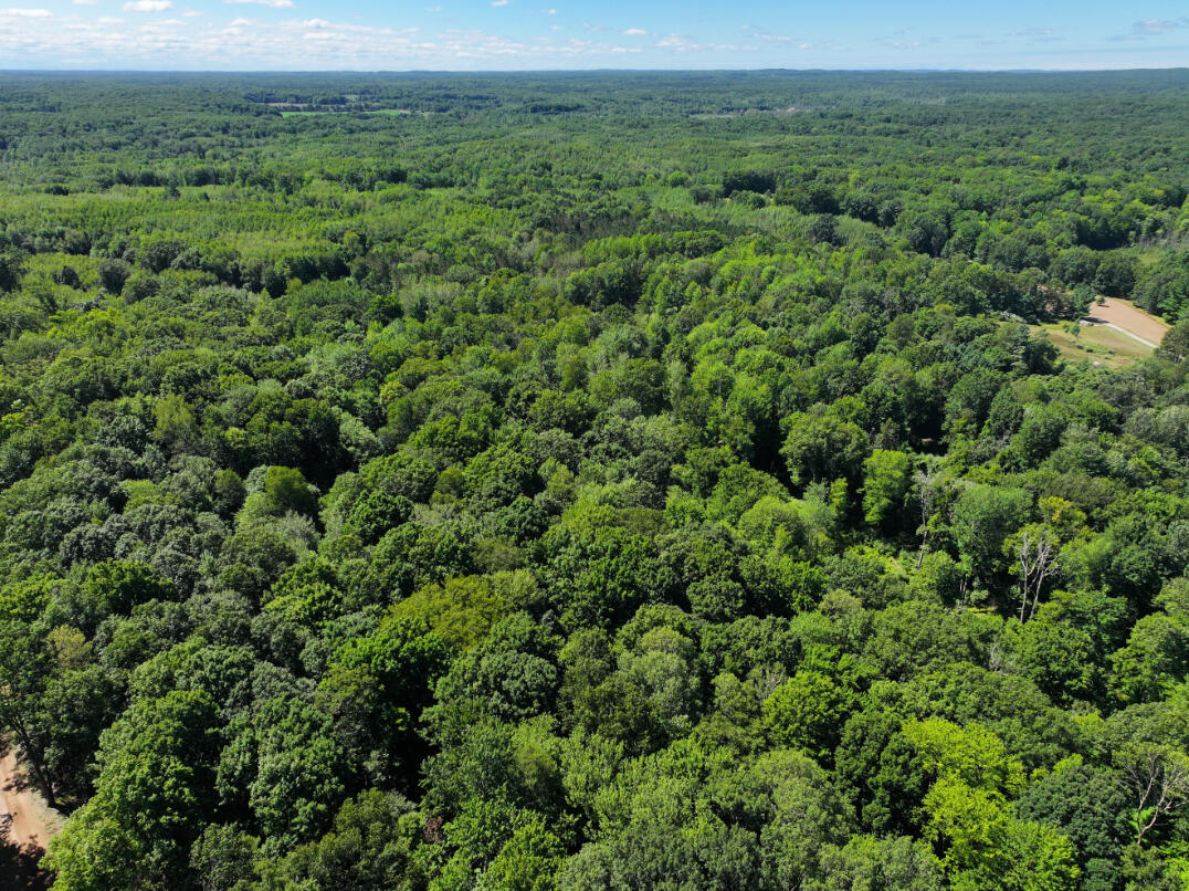 10.45 A Campbell Rd Branch Branch, MI 49402 - Photo 13 of 29 DJI_20250813124455_0895_D