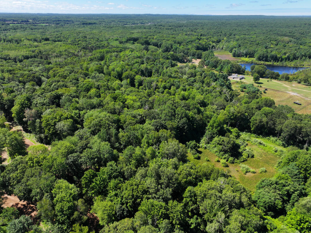 10.45 A Campbell Rd Branch Branch, MI 49402 - Photo 14 of 29 DJI_20250813124509_0896_D