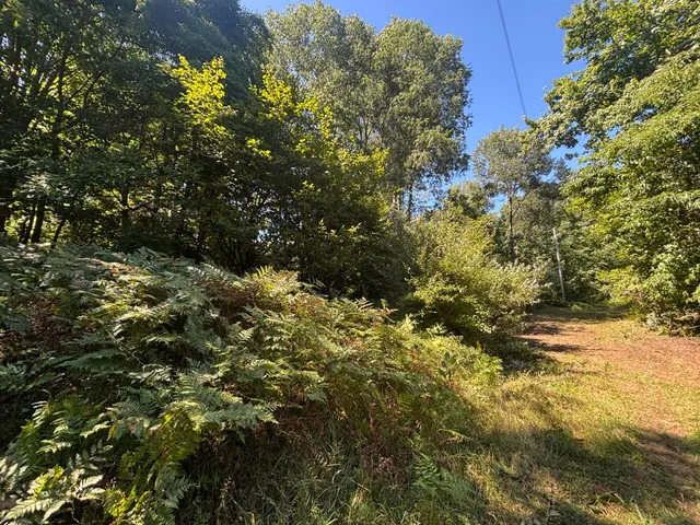 $45,000 | 10.45 A Campbell Rd Branch, Branch, MI 49402