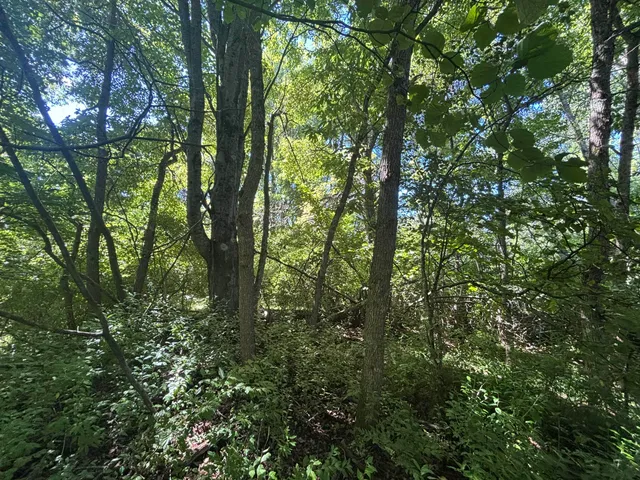 $45,000 | 10.45 A Campbell Rd Branch, Branch, MI 49402