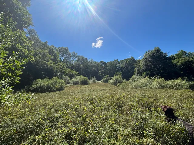 $45,000 | 10.45 A Campbell Rd Branch, Branch, MI 49402