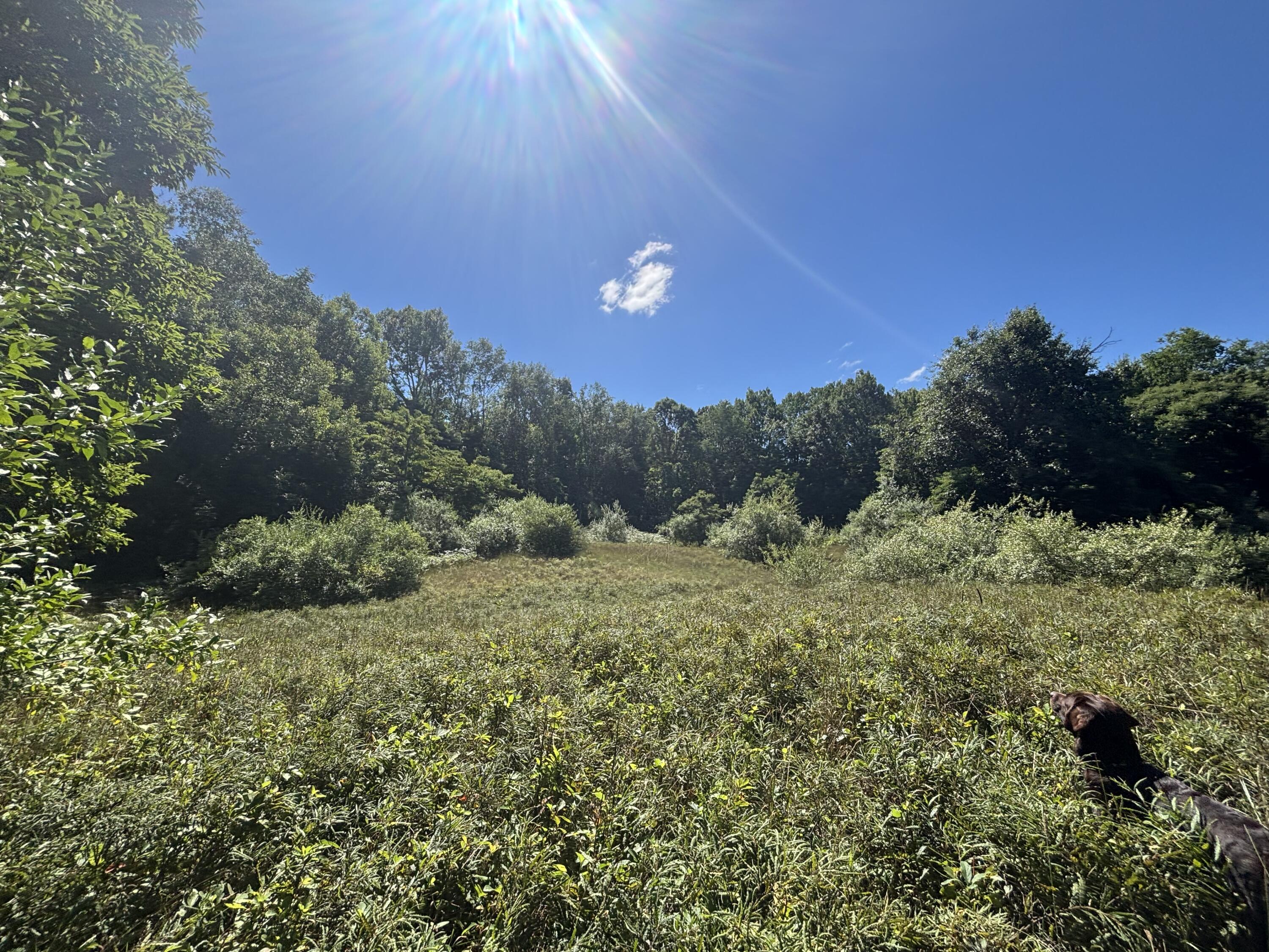 10.45 A Campbell Rd Branch Branch, MI 49402 - Photo 20 of 29 IMG_8781