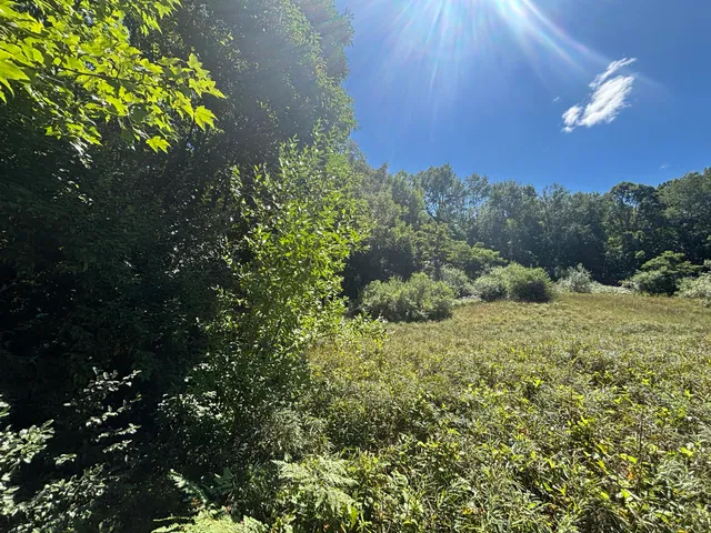 $45,000 | 10.45 A Campbell Rd Branch, Branch, MI 49402