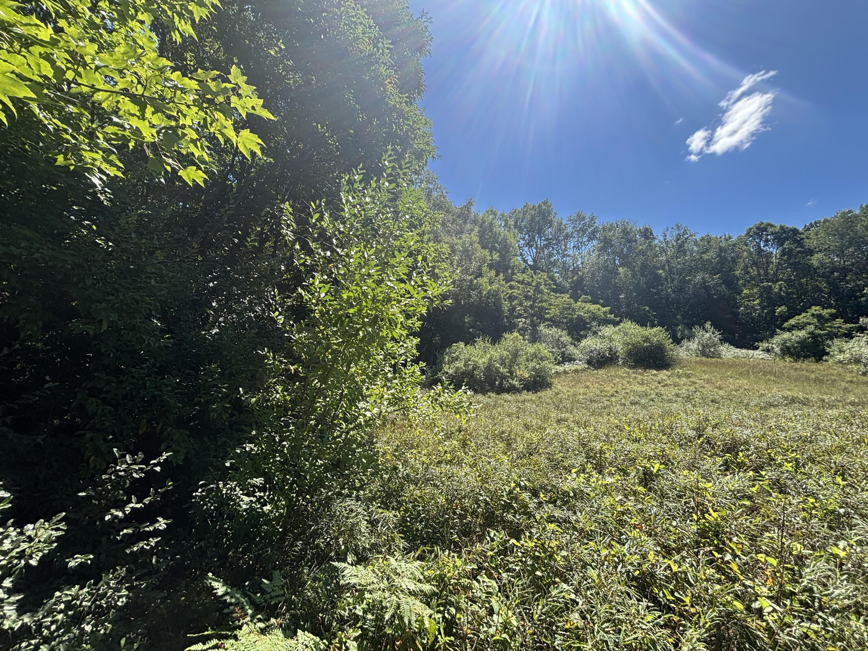 10.45 A Campbell Rd Branch Branch, MI 49402 - Photo 21 of 29 IMG_8784_2