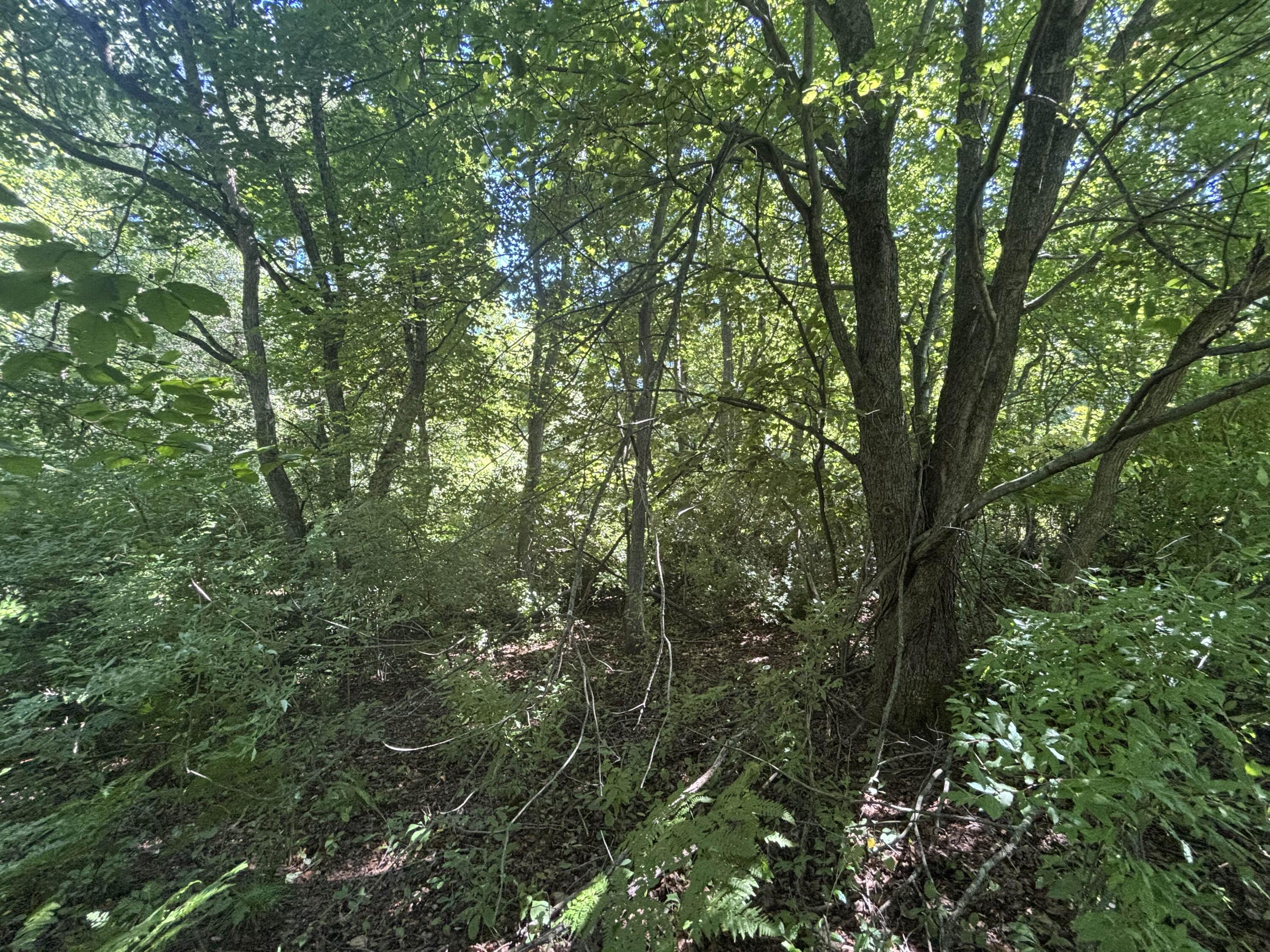 10.45 A Campbell Rd Branch Branch, MI 49402 - Photo 22 of 29 IMG_8786_2