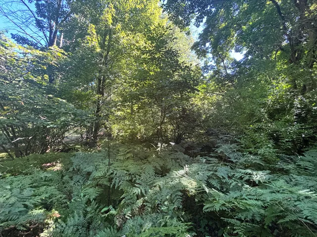 $45,000 | 10.45 A Campbell Rd Branch, Branch, MI 49402