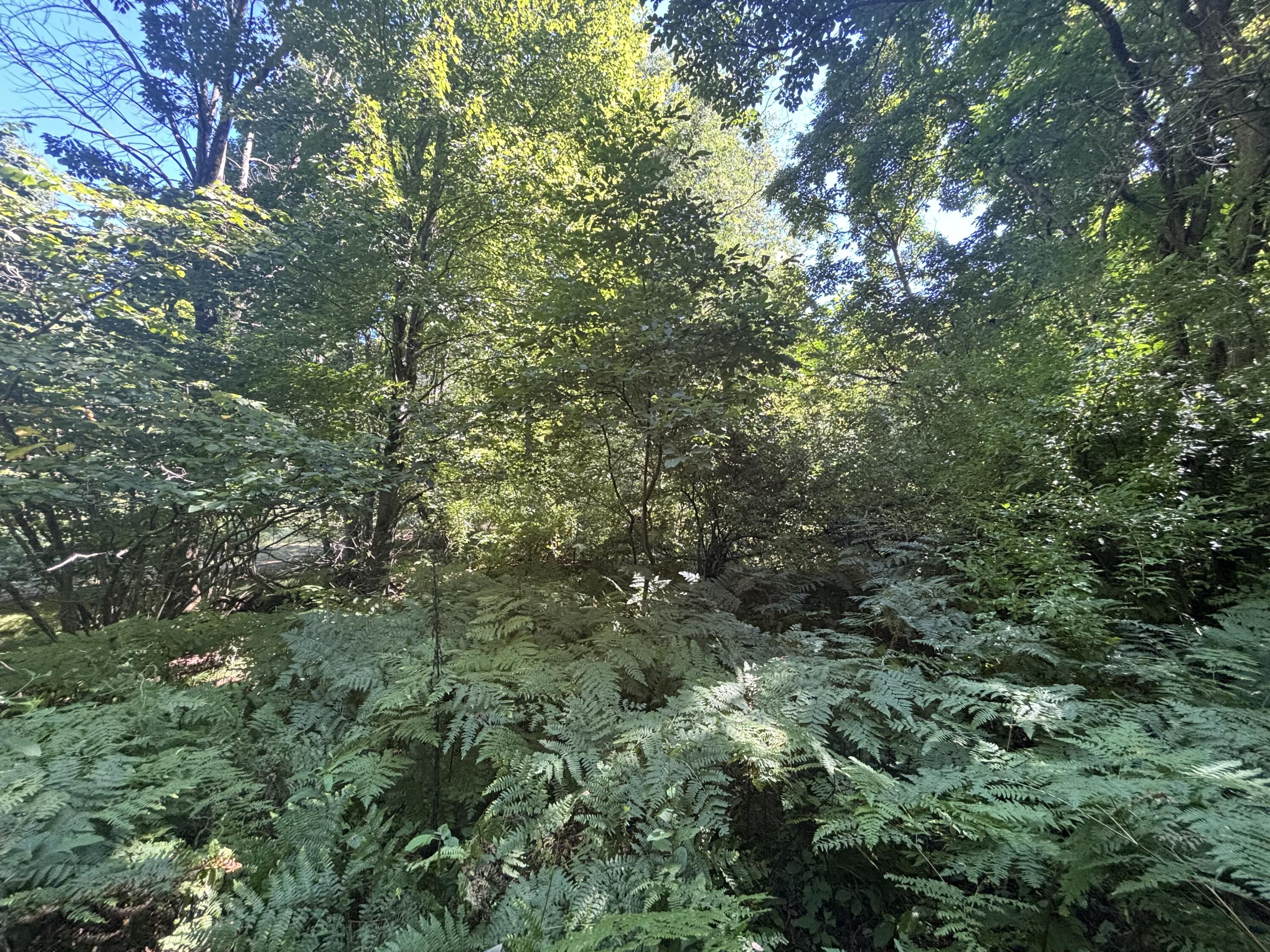 10.45 A Campbell Rd Branch Branch, MI 49402 - Photo 23 of 29 IMG_8788